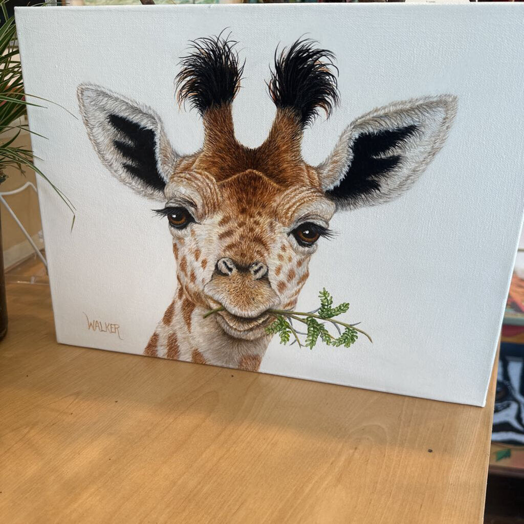 baby giraffe head original 12 by 16