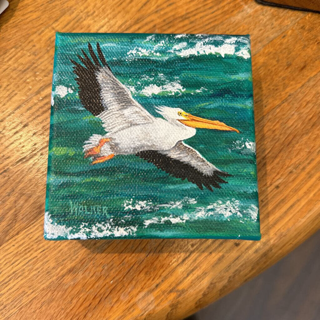 white pelican original 4 by 4