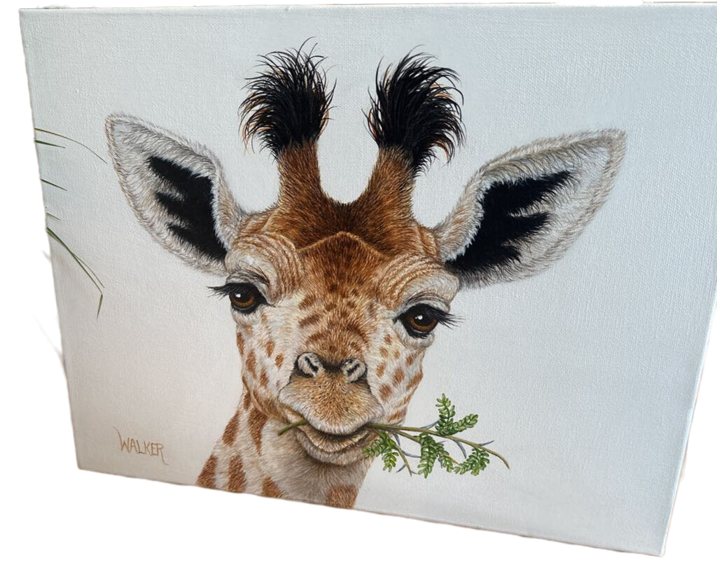 baby giraffe head original 12 by 16
