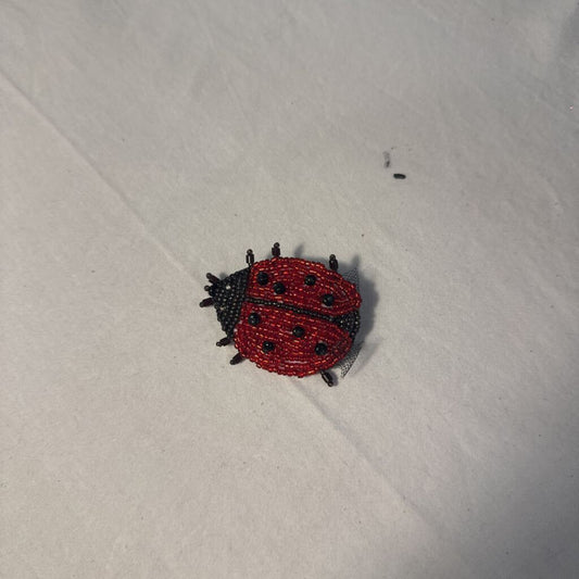 Beaded Brooch