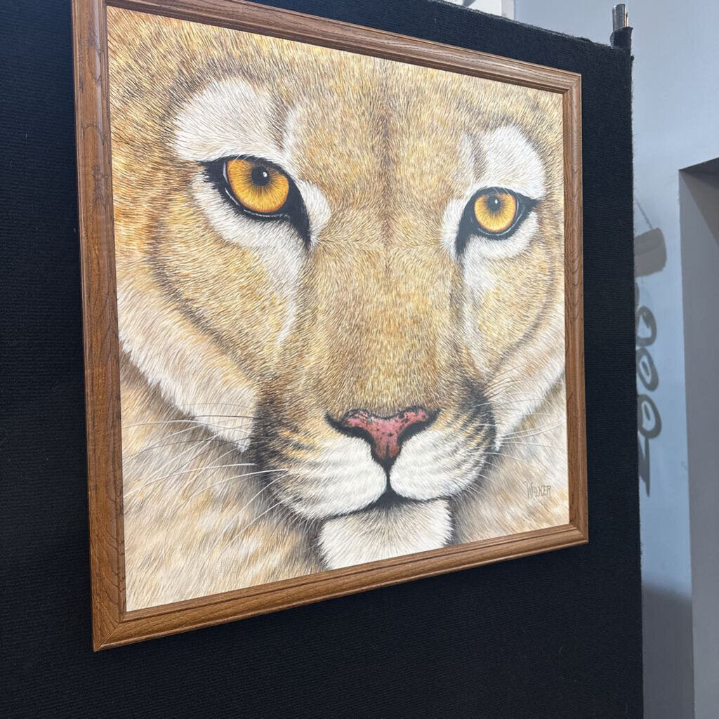 Cougar/Mountain Lion Acrylic Painting