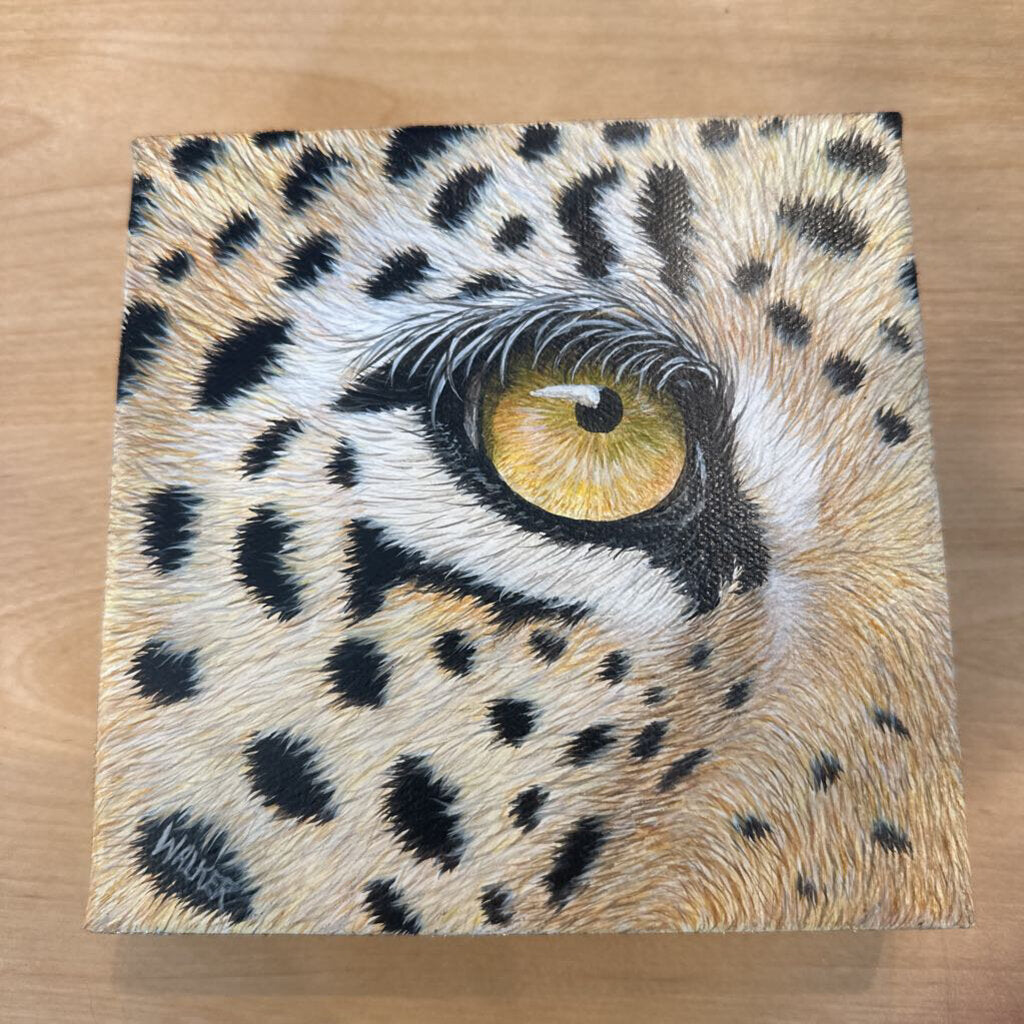 Leopard Eye Original 6 by 6