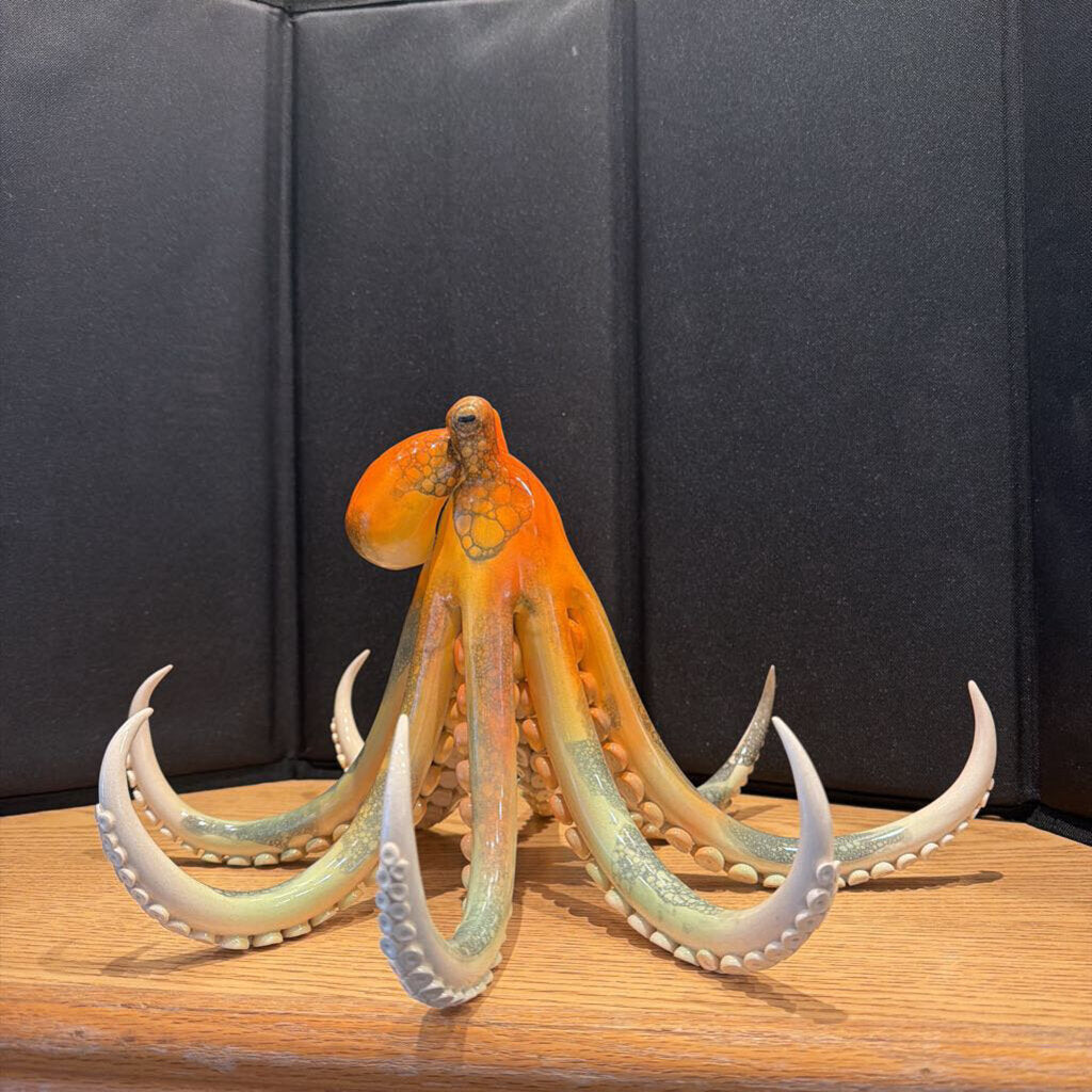 Coral Head Octopus