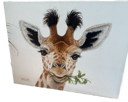 baby giraffe head original 12 by 16